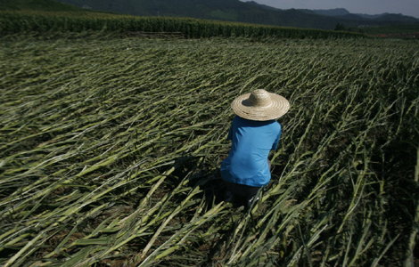 Food stocks on the rise