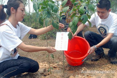 Pet cemetery popular in China