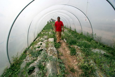 Fake seeds grow rock-hard watermelons