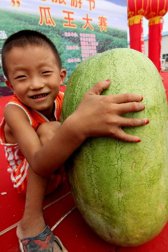 Giant watermelons compete in Henan