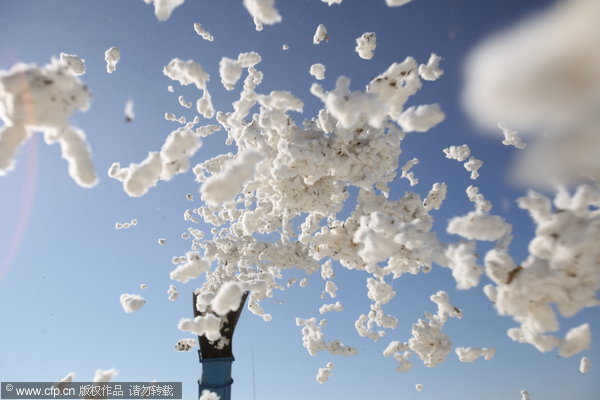 Xinjiang sees bumper cotton harvests