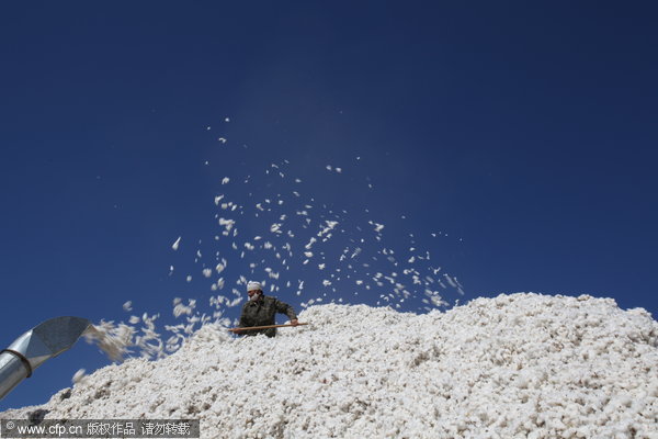 Xinjiang sees bumper cotton harvests