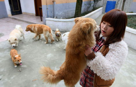 While masters away, hotels take care of pets