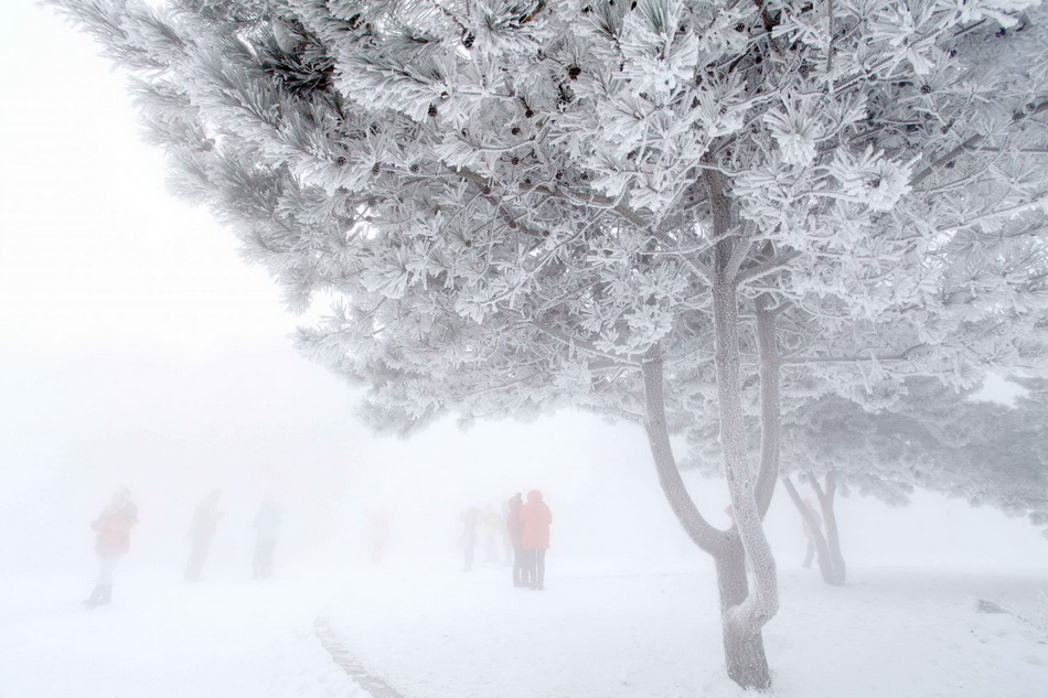 Snow-coated island draws tourists