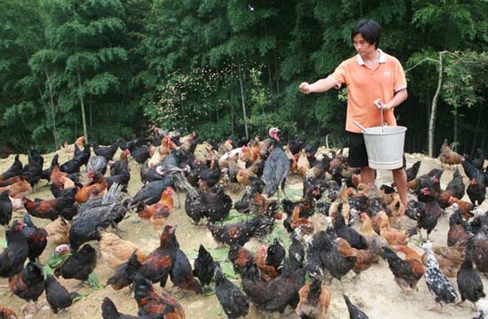 College graduate breeding a future in the mountains