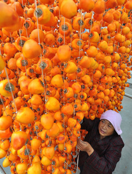 Persimmon brings color to county