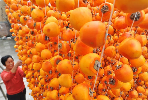 Persimmon brings color to county