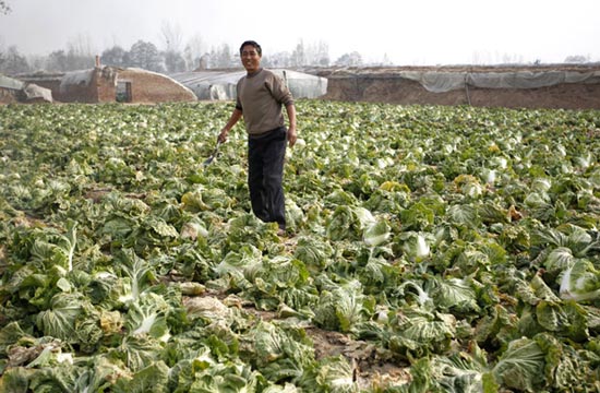 Company lends hands to local farmers