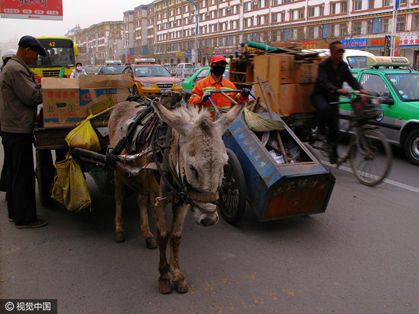 China's top 10 traffic-clogged cities so far this year