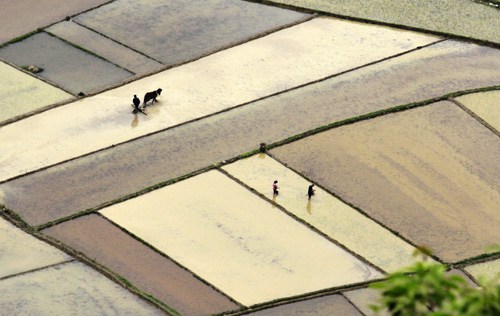 Rural transformation underpins Chinese economy