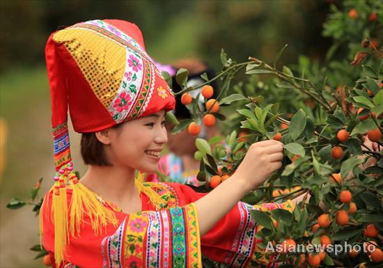 Kumquat season arrives in Liuzhou