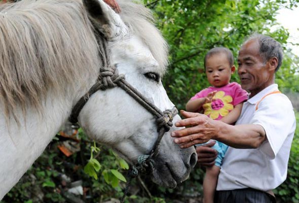 Horse couriers disappearing in Naqi village