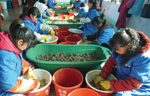 Crabs in buckets, business on budget