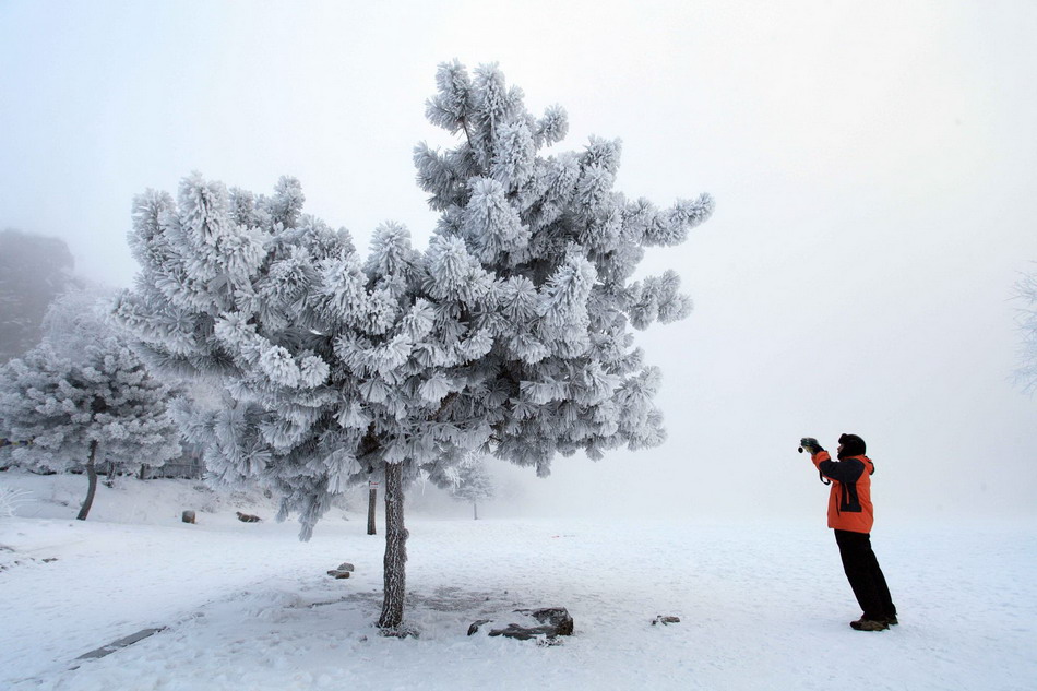 Snow-coated island draws tourists