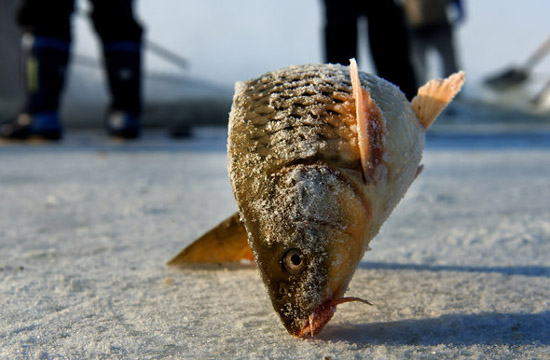 Winter fishing kicks off in Heilongjiang