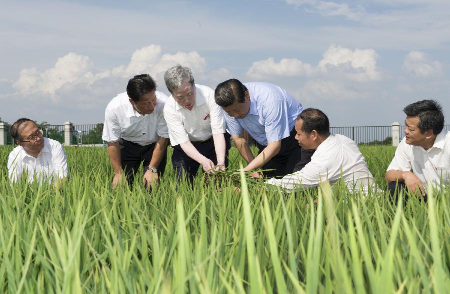 Xi calls for deepening reform, opening up