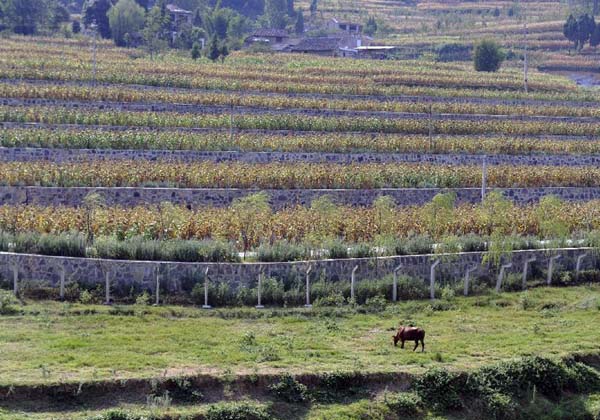 Lingering droughts affect 16.7m people in SW China