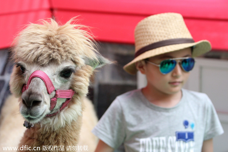 Shopping mall attracts kids to 'Happy Farm'