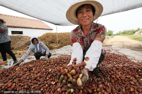 Farm produce the next frontier for Chinese e-commerce