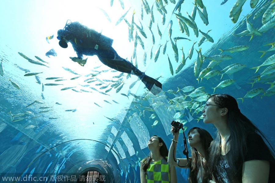 Undersea restaurant opens in Sanya