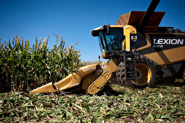 More than 40% of China's arable land degraded