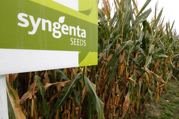 Viptera corn 'approved' for import