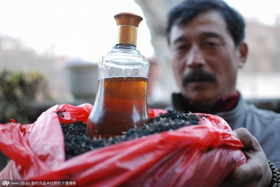 Man earns money by catching ants in Jiangxi