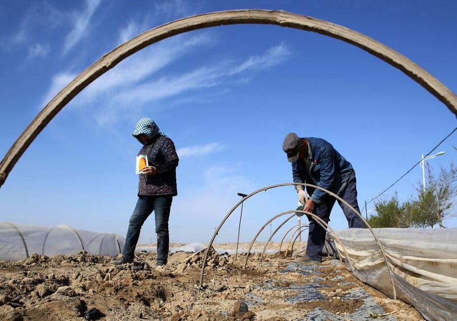 Chinese farmers plough their lands for spring