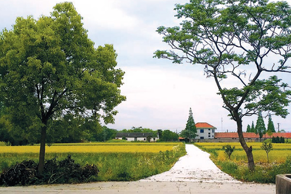 Far from the madding crowd in Shanghai