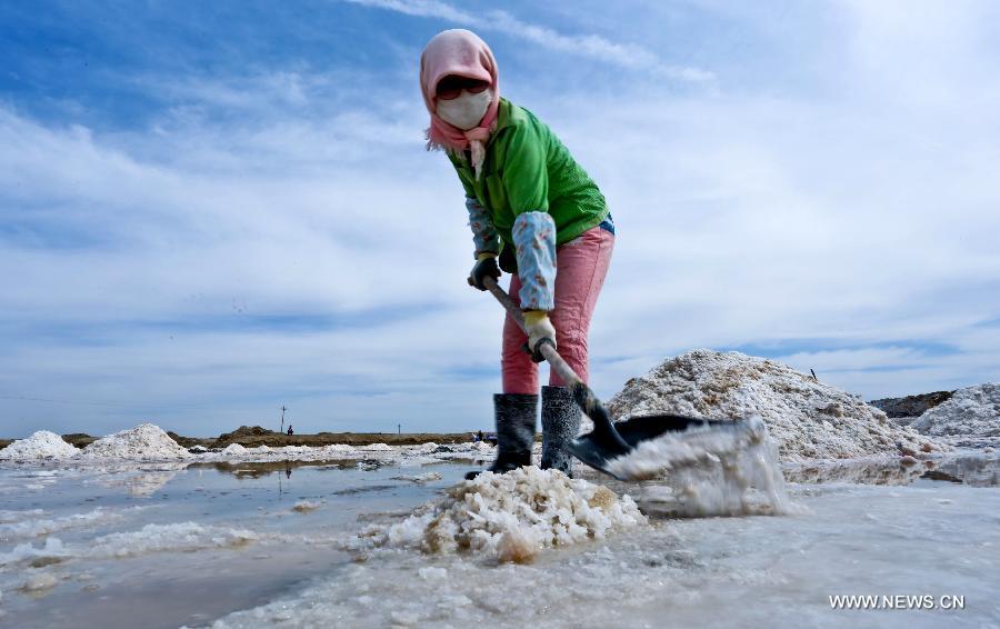 Workers harvest dried salt in Gansu