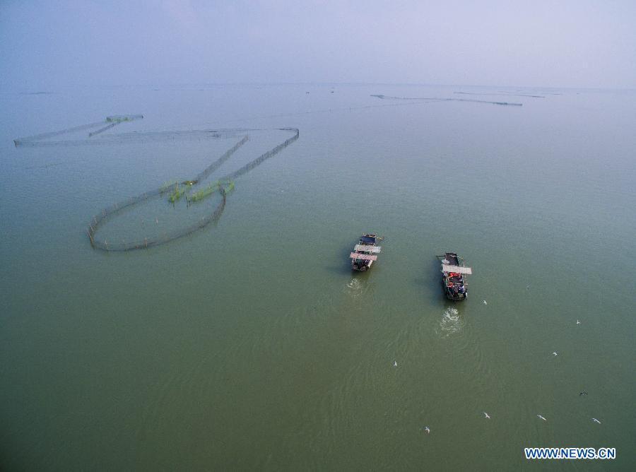 Fishing season of Taihu Lake begins