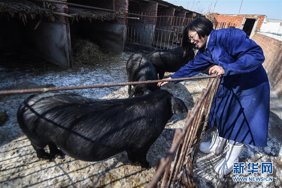 Young woman's businesses thrive in rural Jilin