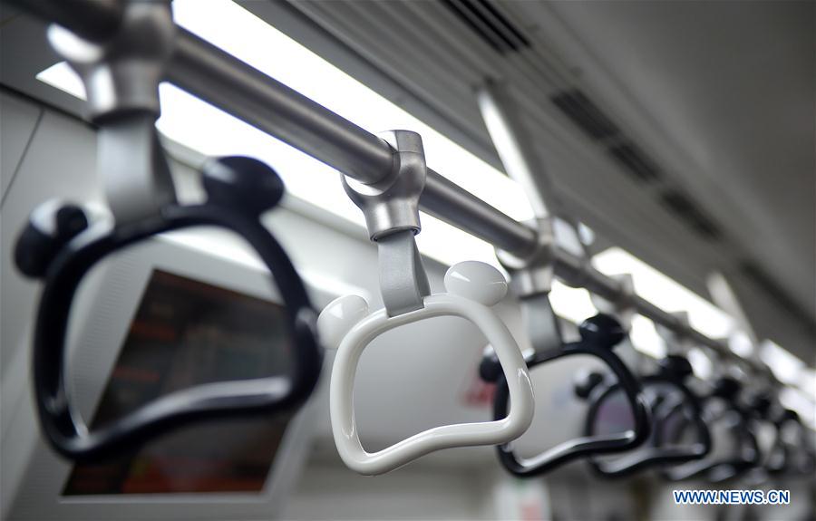 Panda-themed subway train put into use in Chengdu