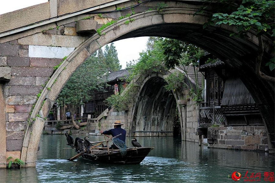 Idyllic scenery of Wuzhen 'water town'