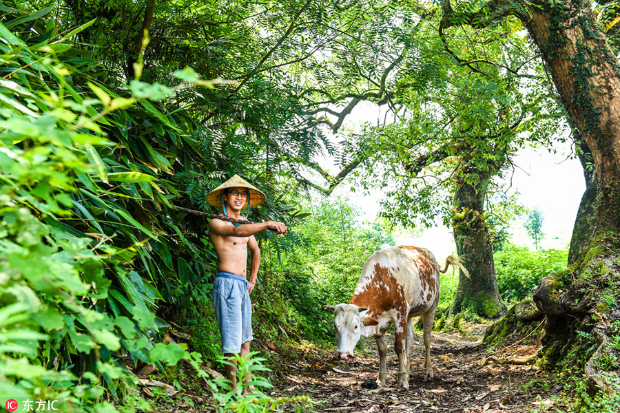 One man says goodbye to city job to farm back home