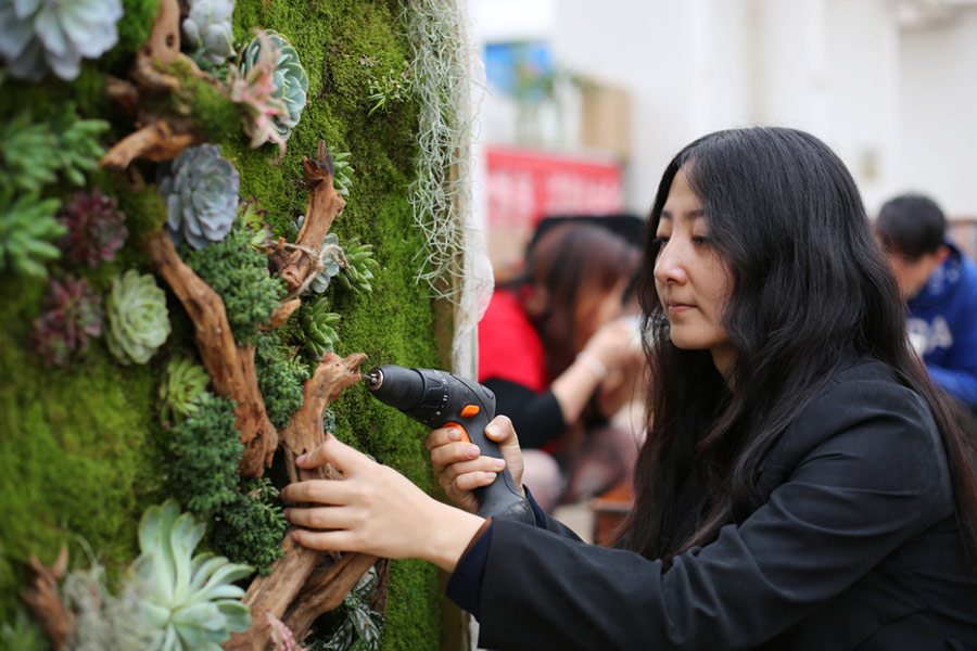 Florist turns live succulents into wall art