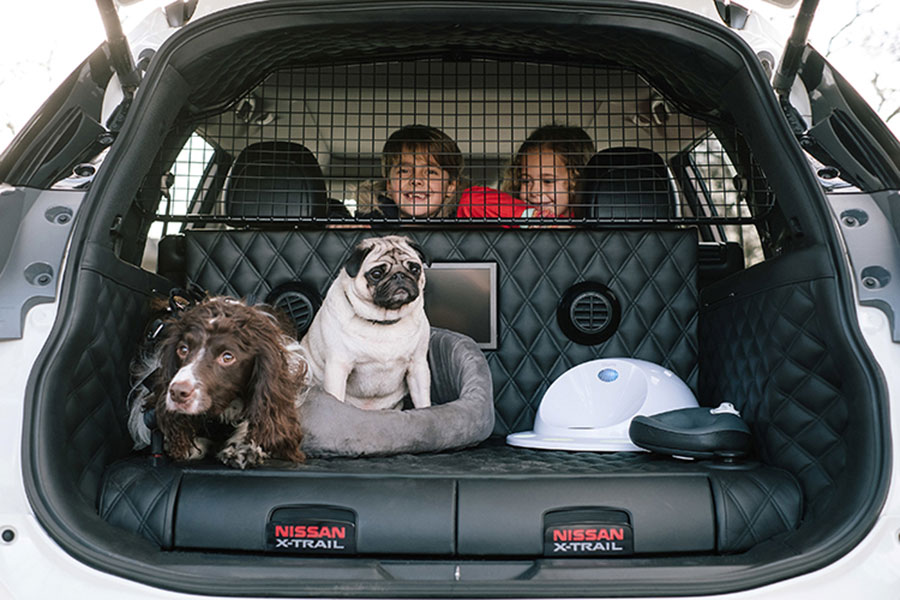 Pets that travel in style