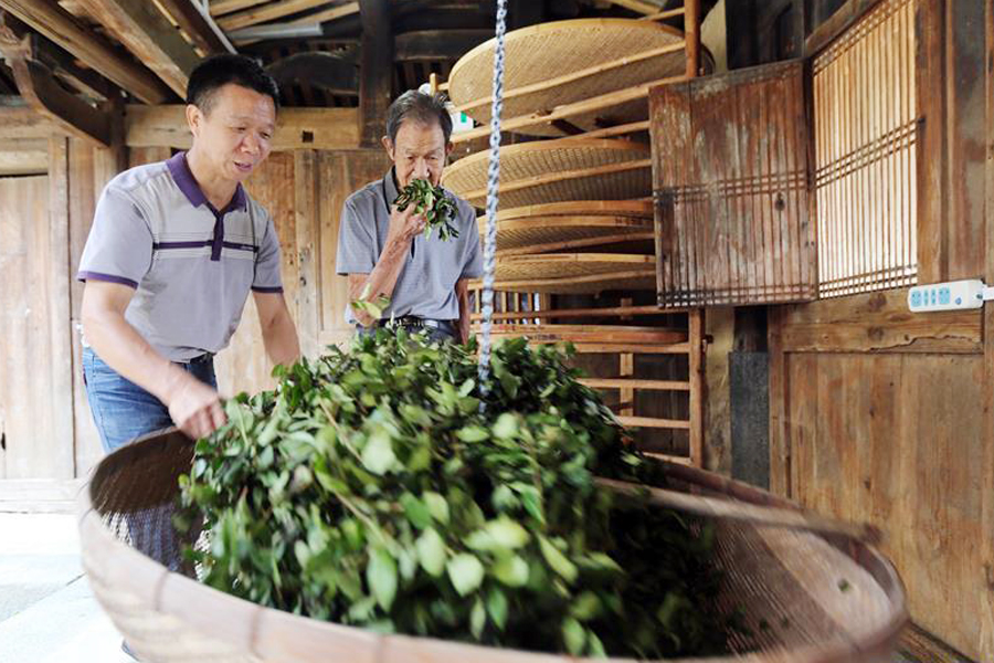 Farmers welcome harvest season across China