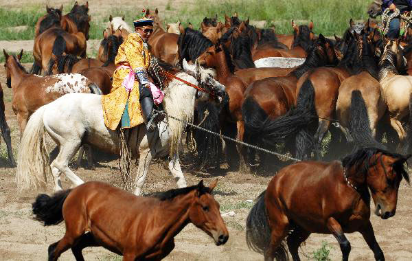 Lassoing competition held in Xinjiang