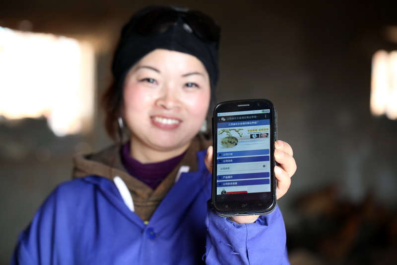 Online tools lay the golden egg for rural woman