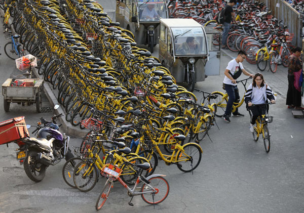 Bike-sharing firms forced to slam on the brakes