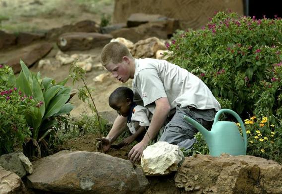 Profile: Prince Harry