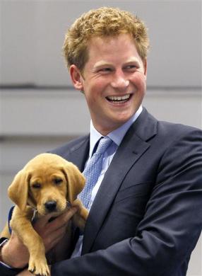 Profile: Prince Harry