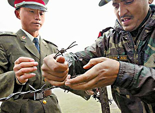 Chinese and Indian soldiers check a barbed wire fence following a meeting of military representatives of the two countries at their border at the Nathula Pass yesterday, on the eve of the formal resumption of trade between India and China along the pass.