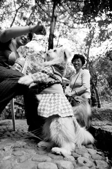 A dog and its owner have a light moment in the Chibi Scenic Region of Yongtai County, East China's Fujian Province in May 2006. Some 70 pet owners led 30 dogs for a special tour in the woods.