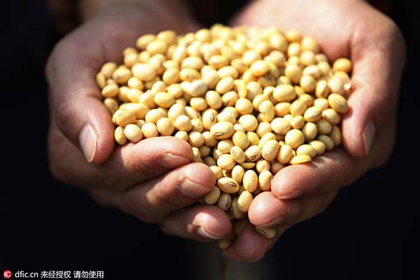 Soybean province wants protection from GM crops