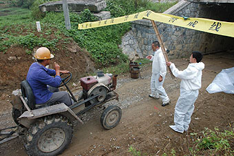 Bird flu in Anhui under control