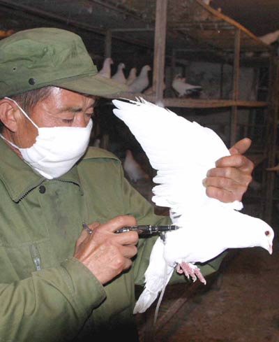 Human infection of bird flu not ruled out in Hunan cases