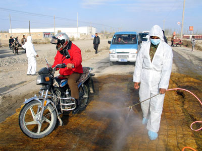 Xinjiang reports bird flu cases