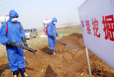 Bird flu drill in Shandong